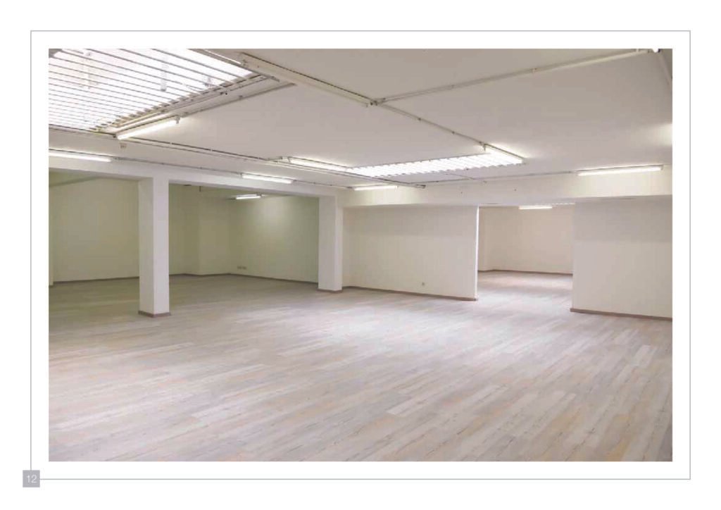 asset 15@300x 100